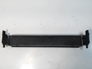 Интеркулер Skoda Rapid 2012-2017