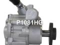32416780459, 6780459, 32414051133, 32416776372, 676988703, HPQ1081GQ, HPQ1081XQ, 541025810, 03P01832, P1081, P1081HG, 400N10121Z Насос гидроусилителя руля BMW 3 E90/E91/E92/E93 2005г. - фото №5