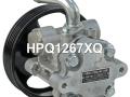 4910065D10, HPQ1267GQ, HPQ1267XQ, HPQ9267XQ, P1267, P1267HG, 4910065D10000, 400N10214Z Насос гидроусилителя руля Suzuki Grand Vitara FT 2001г. - фото №2