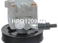 491101AA0A, 491101AA0C, 66073015, HPQ1209GQ, HPQ1209KW, HPQ1209XQ, P1209, P1209HG, 491101AT0A, 491109N00A, 49110JA100, 49110JN10B, 49110ZX02A, 49110ZX70A, 4911MZX02ANW, 4911MZX70ANW, 400N10049Z Насос гидроусилителя руля Nissan Teana J32 2010г. - фото №7