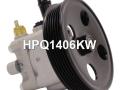 MN101061, HPQ1406GQ, HPQ1406KW, HPQ1406XQ, P1406, P1406HG, 400N10288Z Насос гидроусилителя руля Mitsubishi Galant 9 2003г. - фото №2