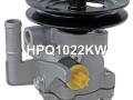 5711022502, 571002D050, 571002F050, HPQ1022KW, 571002D000, 571002D020, 5711022500, 5711029000, 5711029002, 571002F000, HPQ1022GQ, HPQ1022XQ, 13P0050, P1022, P1022HG, P1022NW, 400N10101Z Насос гидроусилителя руля Hyundai Coupe GK 2002г. - фото №7