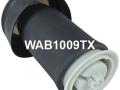 37126790078, 37126773664, WAB1009AA, WAB1009BN, WAB1009GV, WAB1009SF, WAB1009TI, WAB1009TX Пневмоподушка BMW X6 E71/E72 2012г. - фото №2