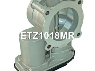 Заслонка дроссельная, ориг. номер DS7Z9E926A, DS7Z9E926D, DS7E9F991AK, 5262561, DS7E9F991AF, ETZ1018NF, ETZ1018MR, 1944739, 2054938, 2264983, 5173353, 5212219, 5243622, 5360553, 9L8Z9E926A, DS7E9F991AC, DS7E9F991AD, DS7E9F991AE, DS7E9F991AG, DS7E9F991AH, DS7E9F991AJ, ETZ1018GP, ETZ1018RL, Lincoln MKZ 1 2009-2012