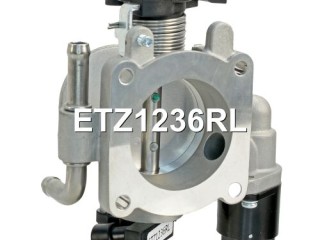Заслонка дроссельная, ориг. номер 96815470, 25183953, 96378856, ETZ1236RL, ETZ1236TO, Chevrolet Aveo T200 2003-2008