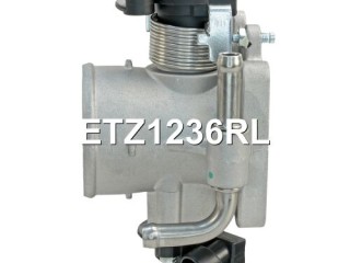 Заслонка дроссельная, ориг. номер 96815470, 25183953, 96378856, ETZ1236RL, ETZ1236TO, Chevrolet Aveo T200 2003-2008