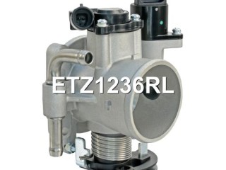 Заслонка дроссельная, ориг. номер 96815470, 25183953, 96378856, ETZ1236RL, ETZ1236TO, Chevrolet Aveo T200 2003-2008