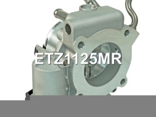 Заслонка дроссельная, ориг. номер 351002B180, ETZ1125MR, ETZ1125NF, ETZ1125RL, ETZ1125TO, ETZ1125TU, Hyundai Creta 1 2015-2020