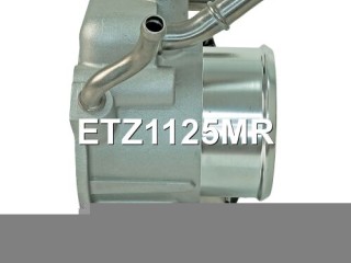 Заслонка дроссельная, ориг. номер 351002B180, ETZ1125MR, ETZ1125NF, ETZ1125RL, ETZ1125TO, ETZ1125TU, Hyundai Creta 1 2015-2020