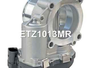 Заслонка дроссельная, ориг. номер 06F133062G, 06F133062E, 06F133062M, 06F133062Q, 06F133062T, 06F133062AG, 06F133062J, A2C82494100, 06F133062A, 06F133062AB, 06F133062H, 06K133062H, A2C53044094, A2C59511705, A2C53390403, ETZ1013RL, ETZ1013NF, ETZ1013MR, 06F133062N, ETZ1013PS, ETZ1013RY, A2C83256560, Audi A3 8P 2008-2013