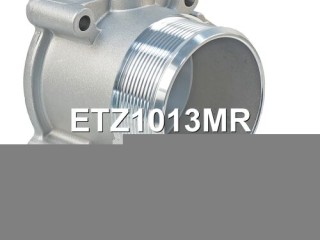 Заслонка дроссельная, ориг. номер 06F133062G, 06F133062E, 06F133062M, 06F133062Q, 06F133062T, 06F133062AG, 06F133062J, A2C82494100, 06F133062A, 06F133062AB, 06F133062H, 06K133062H, A2C53044094, A2C59511705, A2C53390403, ETZ1013RL, ETZ1013NF, ETZ1013MR, 06F133062N, ETZ1013PS, ETZ1013RY, A2C83256560, Seat Leon 2 2005-2012