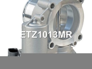 Заслонка дроссельная, ориг. номер 06F133062G, 06F133062E, 06F133062M, 06F133062Q, 06F133062T, 06F133062AG, 06F133062J, A2C82494100, 06F133062A, 06F133062AB, 06F133062H, 06K133062H, A2C53044094, A2C59511705, A2C53390403, ETZ1013RL, ETZ1013NF, ETZ1013MR, 06F133062N, ETZ1013PS, ETZ1013RY, A2C83256560, Volkswagen Eos 2006-2010