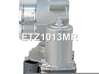 Заслонка дроссельная, ориг. номер 06F133062G, 06F133062E, 06F133062M, 06F133062Q, 06F133062T, 06F133062AG, 06F133062J, A2C82494100, 06F133062A, 06F133062AB, 06F133062H, 06K133062H, A2C53044094, A2C59511705, A2C53390403, ETZ1013RL, ETZ1013NF, ETZ1013MR, 06F133062N, ETZ1013PS, ETZ1013RY, A2C83256560, Volkswagen Golf 5 2003-2009