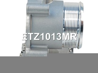 Заслонка дроссельная, ориг. номер 06F133062G, 06F133062E, 06F133062M, 06F133062Q, 06F133062T, 06F133062AG, 06F133062J, A2C82494100, 06F133062A, 06F133062AB, 06F133062H, 06K133062H, A2C53044094, A2C59511705, A2C53390403, ETZ1013RL, ETZ1013NF, ETZ1013MR, 06F133062N, ETZ1013PS, ETZ1013RY, A2C83256560, Volkswagen Golf 5 2003-2009