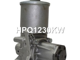 Насос гидроусилителя руля, ориг. номер HPQ1230KW, HPQ1230GQ, HPQ1230XQ, 541000910, 541001110, 1244601180, 124460118080, 1244601880, 124460188080, A1244600280, A1244600680, A1244600880, A1244600980, A1244601180, A124460118080, A1244601780, A1244601880, A1244602380, P1230HG, JPR200, JPR201, 400N10366Z, 2854201, 7682900110, 7682900112, Mercedes E W124