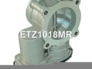 Заслонка дроссельная, ориг. номер DS7Z9E926A, DS7Z9E926D, DS7E9F991AK, 5262561, DS7E9F991AF, ETZ1018NF, ETZ1018MR, 1944739, 2054938, 2264983, 5173353, 5212219, 5243622, 5360553, 9L8Z9E926A, DS7E9F991AC, DS7E9F991AD, DS7E9F991AE, DS7E9F991AG, DS7E9F991AH, DS7E9F991AJ, ETZ1018GP, ETZ1018RL, Ford Tourneo