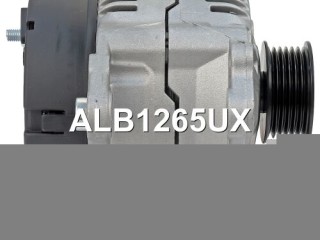 Генератор, ориг. номер 028903027L, ALB1265UX, 0123320019, 111880, ALB1265WA, ALT2030B, 436483, 439032, A13VI114, 301N22565Z, Seat Inca 1995-2003