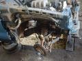 Kia Sportage 1 поколение 1999г. 2.0 л., FE (16V) - фото №4
