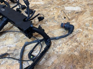 проводка двигателя, BMW X5 E70 2006-2010