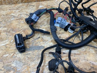 проводка двигателя, BMW X5 E70 2006-2010
