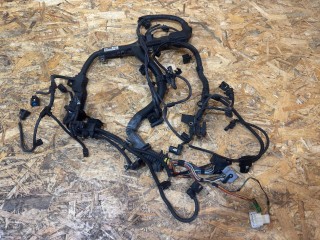 проводка двигателя, ориг. номер 780823907, BMW X5 E70 [рестайлинг] 2010-2013