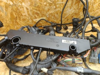 проводка двигателя, ориг. номер 7801042, 12517801042, BMW 6 E63/E64 [рестайлинг] 2007-2010