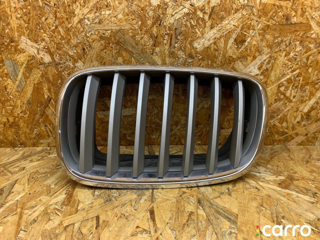 решетка радиатора левая BMW X5 E70 2006-2010, 3.0 л, 7171395, фото 1