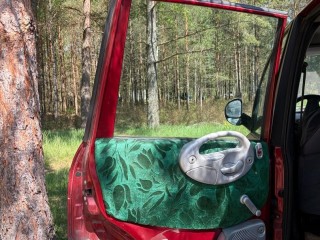 Дверь задняя левая, Fiat Multipla 1998-2002