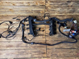 проводка двигателя, ориг. номер 12517520672, 7520672, Land Rover Range Rover 3 поколение 2002-2005