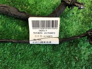 проводка двери задней правой, ориг. номер 01740872, Geely Emgrand X7 1 поколение [рестайлинг] 2016-2019