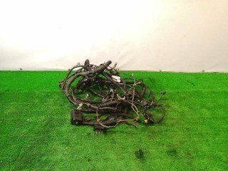 проводка двигателя, ориг. номер 1X4313A612, Ford Mondeo 3 поколение 2000-2003