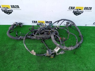 проводка двигателя, ориг. номер 6M5T12A690, Ford Grand C-Max