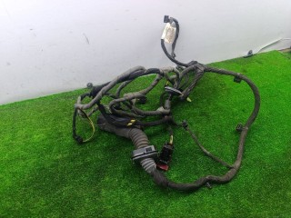 проводка двери передней правой, ориг. номер 39001305, Opel Insignia A [рестайлинг] 2013-2017