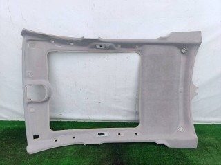 потолок Peugeot 407 1 поколение 2004-2008, 96454334BJ