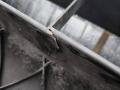 51647192758, 7192758 передняя панель (телевизор) BMW X6 E71 [рестайлинг] 2013г. - фото №3
