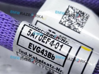 плюсовой провод аккумулятора, ориг. номер 5A385F2, 5A70EF4, BMW X6 G06 [рестайлинг] 2023-2026