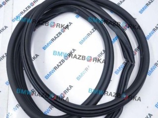 уплотнитель двери передней, ориг. номер 7437779, BMW X6 G06 [рестайлинг] 2023-2026