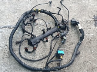 проводка двигателя, ориг. номер 504369600, IVECO Daily 4 поколение 2006-2011
