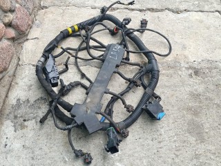 проводка двигателя, ориг. номер 504257096, IVECO Daily 4 поколение 2006-2011