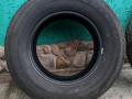Шина - фото №2