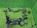8483814, 8482364, 8482368, 8743495 проводка двигателя BMW 3 G20/G21 [2-й рестайлинг] 2024г. - фото №5