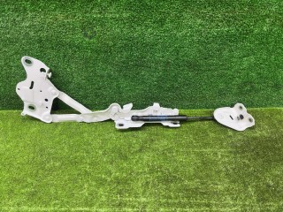 петля капота правая, ориг. номер 7418188, 7470794, 7418202, 51237418188, BMW X5 G05 [рестайлинг] 2023-2026
