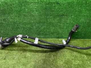 горловина топливного бака, ориг. номер 16117365415, 7365415, BMW 5 G30/G31 [рестайлинг] 2020-2023