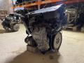 Z19DT двигатель Opel Vectra B 2000г. - фото №8