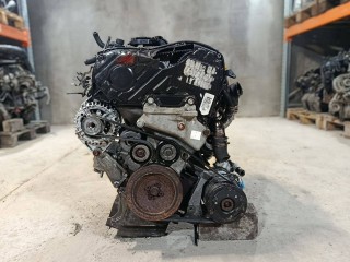 Z19DT