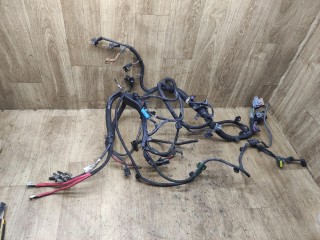 проводка двигателя, ориг. номер 8200924052, Renault Kangoo 2 поколение 2007-2013