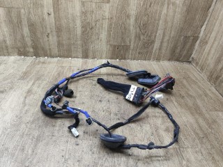 проводка двери передней правой, Hyundai Santa Fe 2 поколение 2005-2010