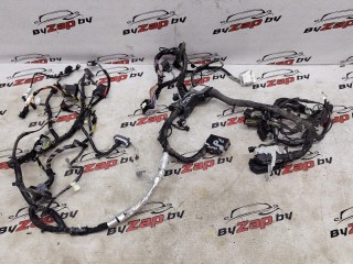 проводка двигателя Ford Escape 4 поколение CX482 [рестайлинг] 2023-2026, PZ1T-14290