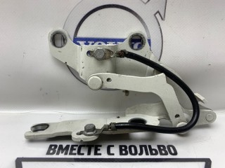 Петля капота передняя левая, ориг. номер 41617210677, BMW 320i E90 2004-2008