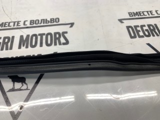 Уплотнитель двери задний правый, ориг. номер 8663782, Volvo S80 1998-2003